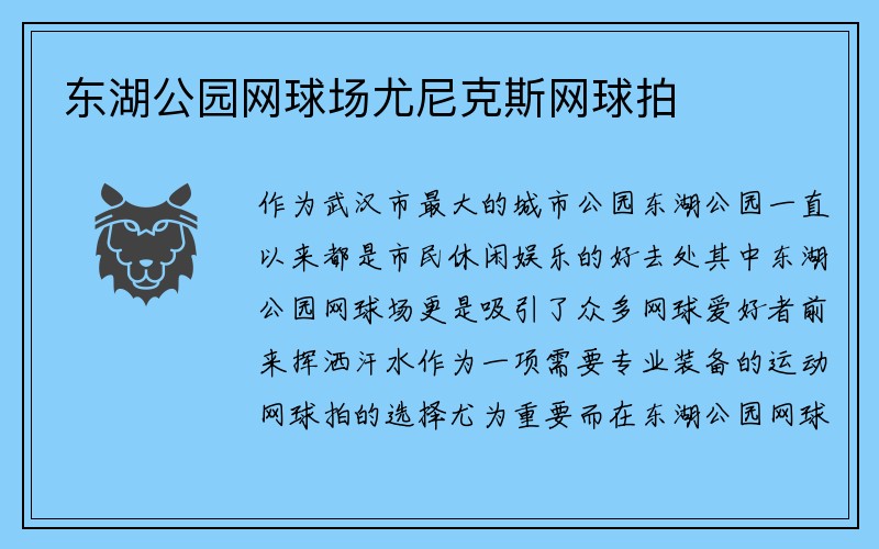 东湖公园网球场尤尼克斯网球拍