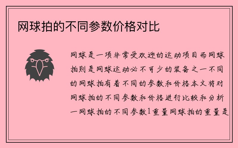 网球拍的不同参数价格对比