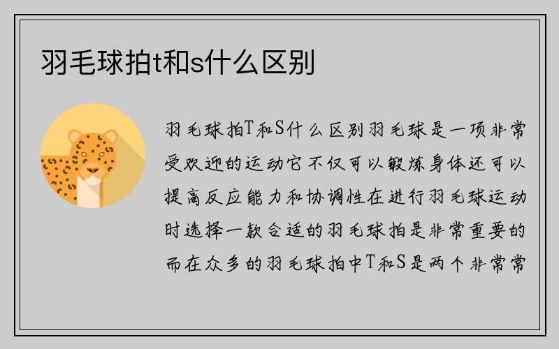 羽毛球拍t和s什么区别