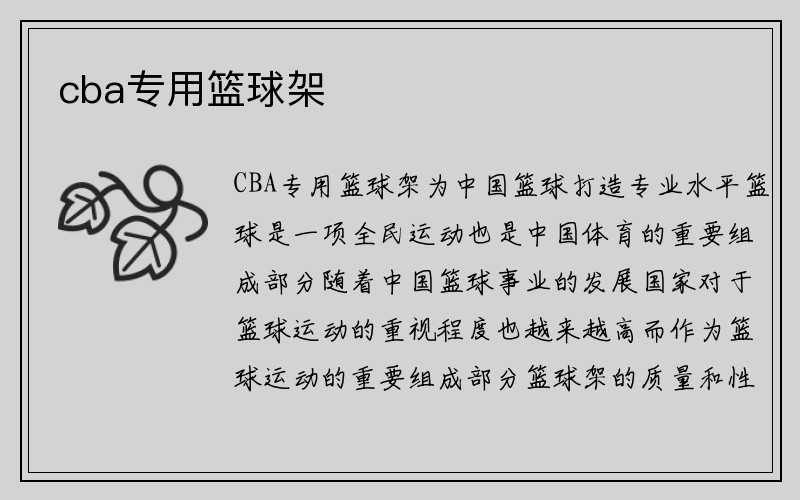 cba专用篮球架