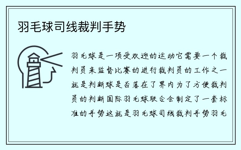 羽毛球司线裁判手势